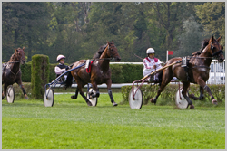 Pferderennen6