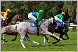 Pferderennen9