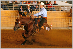 Reining