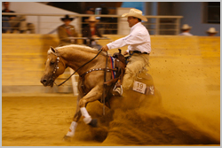 Reining1