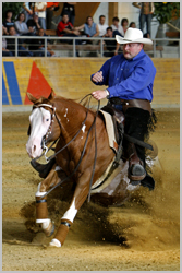 Reining2