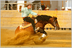 Reining3