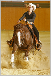 Reining4
