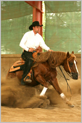 Reining6