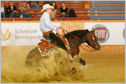 Reining7
