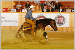 Reining8